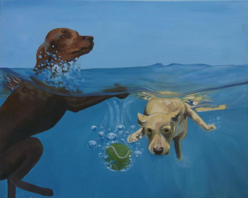 Dogs in Water