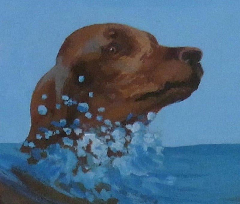 Dogs in Water