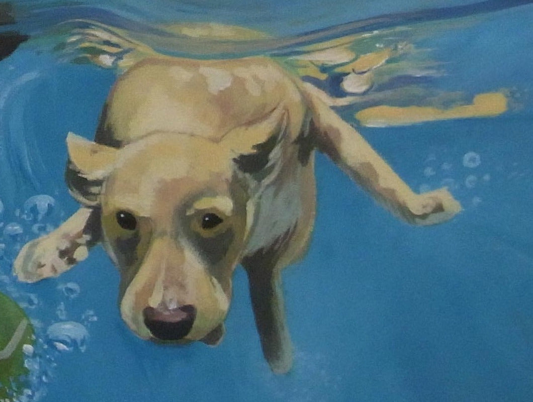 Dogs in Water