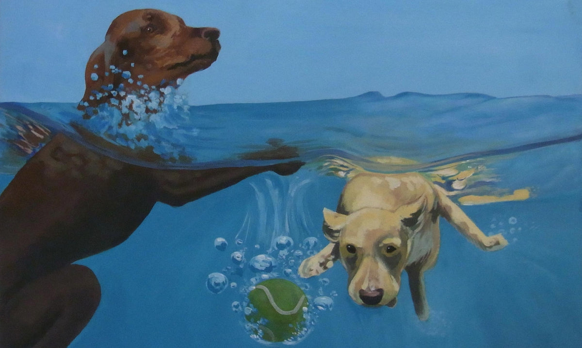 Dogs in Water