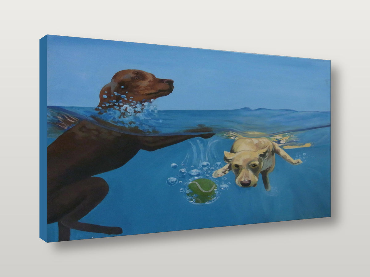 Dogs in Water